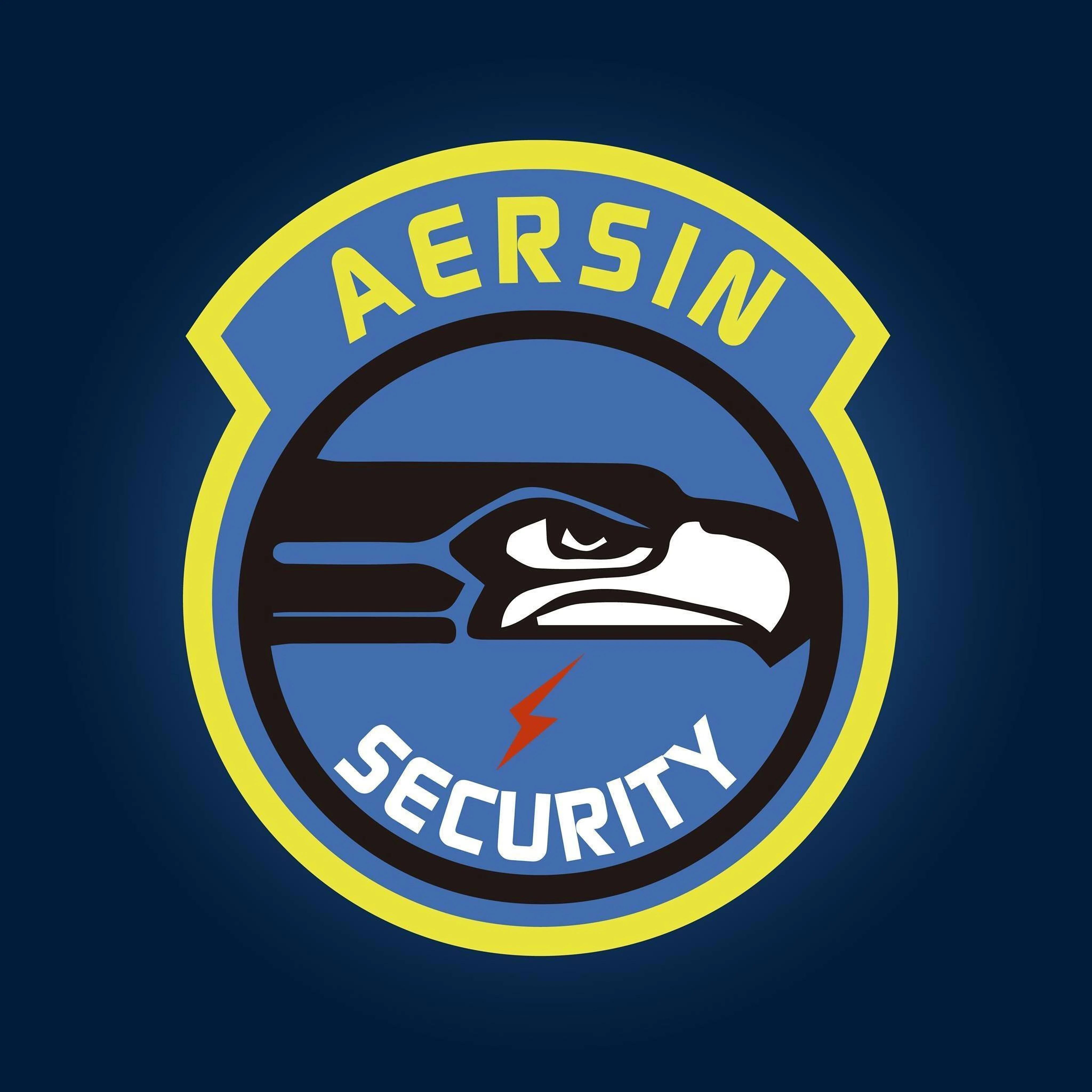 Empresas de seguridad-aersin-cia-ltda-14961