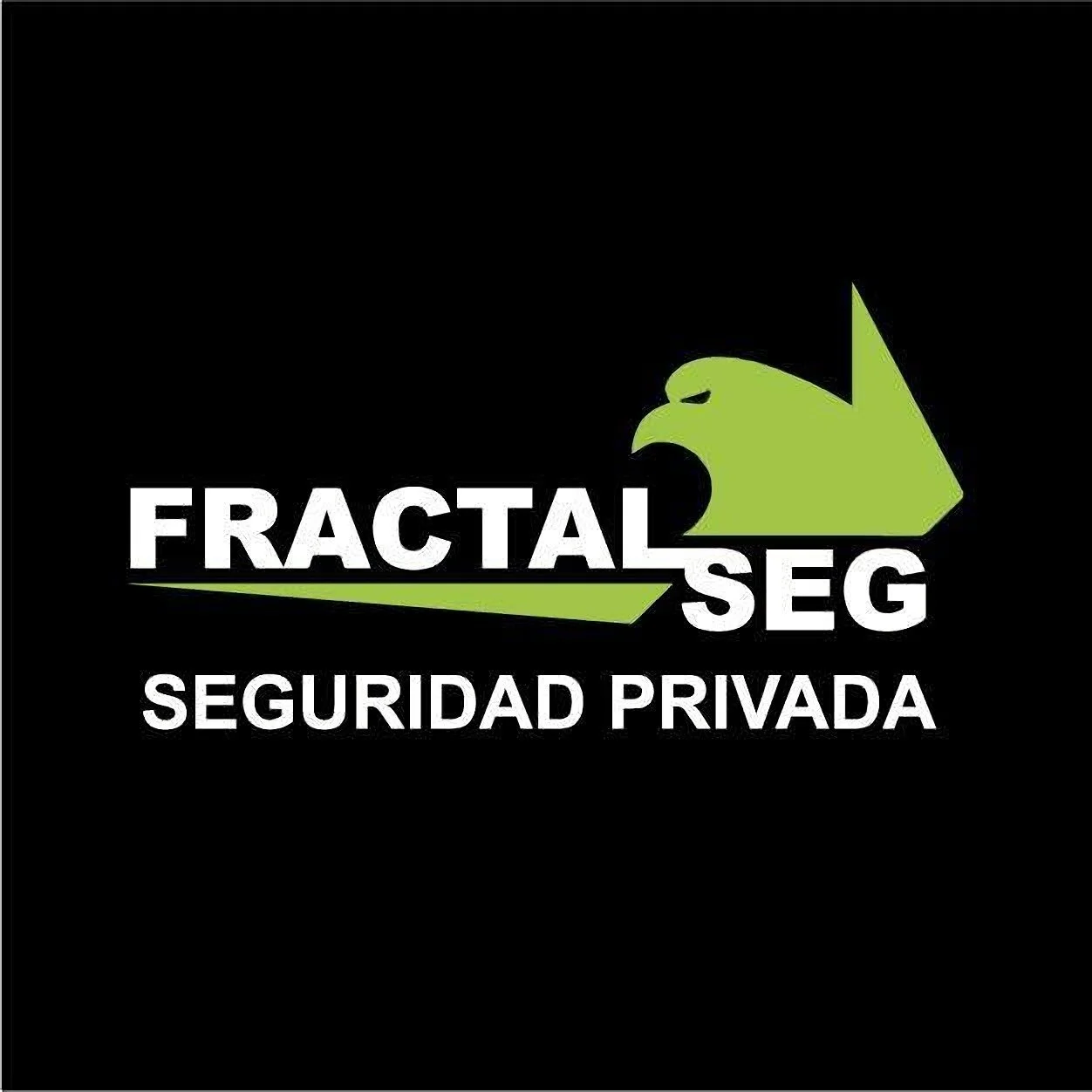 Fractalseg Cia. LTDA-3185