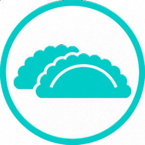 Empanadas